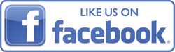 facebook-logo-250